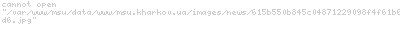 VimpelCom  $1   -    