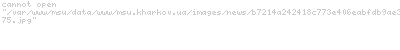  "" ,       ()